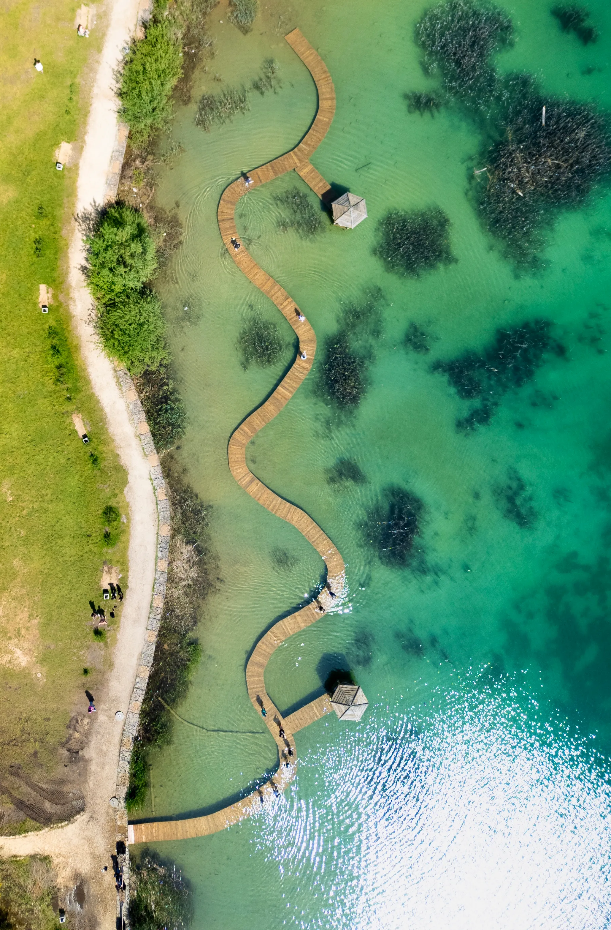 Natura — podgląd galerii